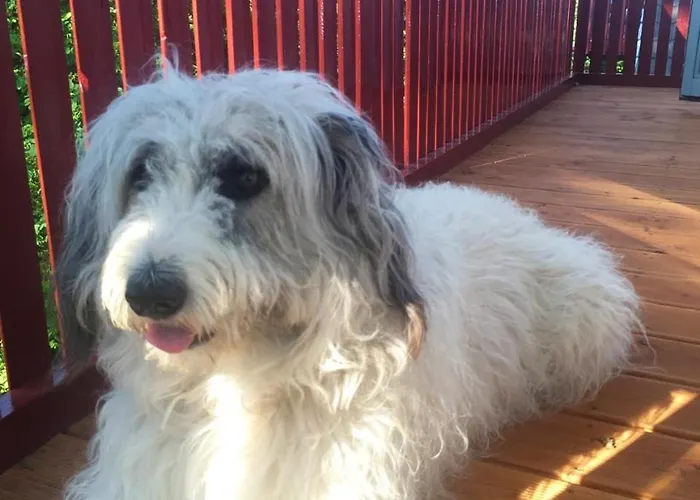 Bines Am Seepark Kirchheim, Hessen, Germany * Kirchheim